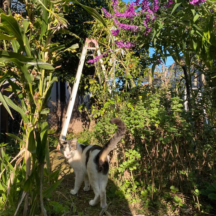 45e055b2 5a82 434d b438 a3b5c6015018 1604495718390