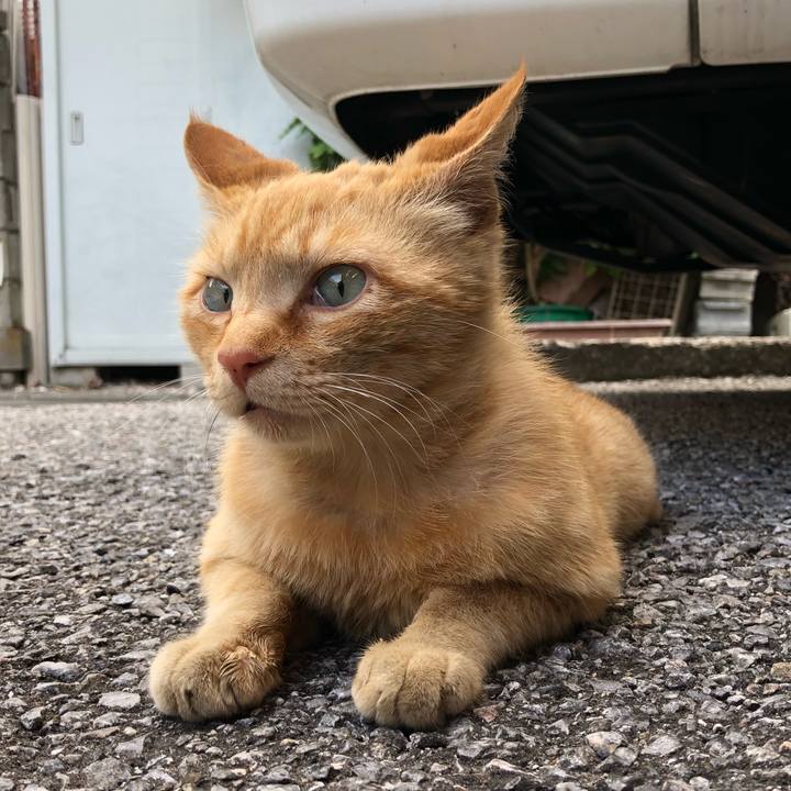 45e07d4c 034c 4245 8b9b 799f08297d02 1526890083678