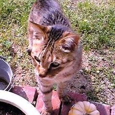 45e07e38 e71c 4998 90d2 cbce23796909 1540251321051