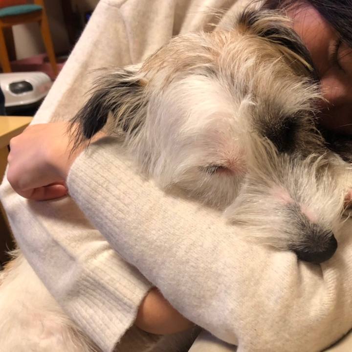 45e087e3 be6e 4d7c b251 5f6db2bb29f3 1571053324408