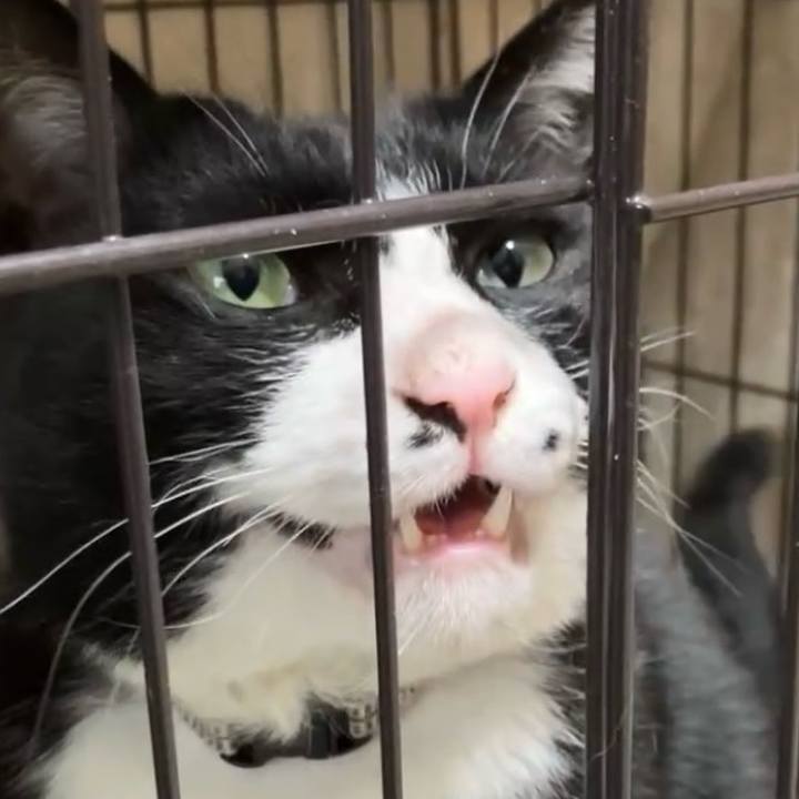 45e09533 c0fb 4ec9 951f 61f1bc5c241b 1743941447543