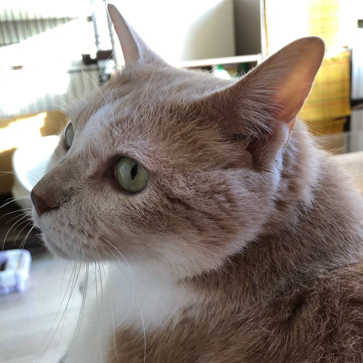 45e0b35b e89c 4cb1 bc23 f51f88b62082 1609370412745