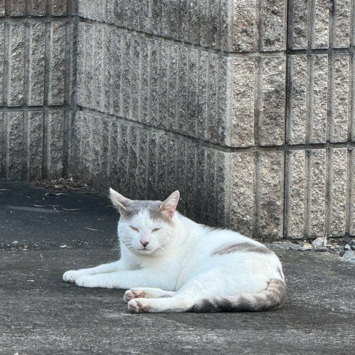 45e0b83c 921d 418a b86b c93ddef7062a 1758075197570