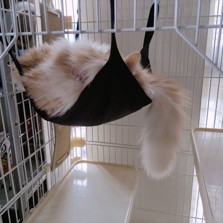 45e0f89e 367a 41f5 a33f b63e358bb5e8 1712535054696