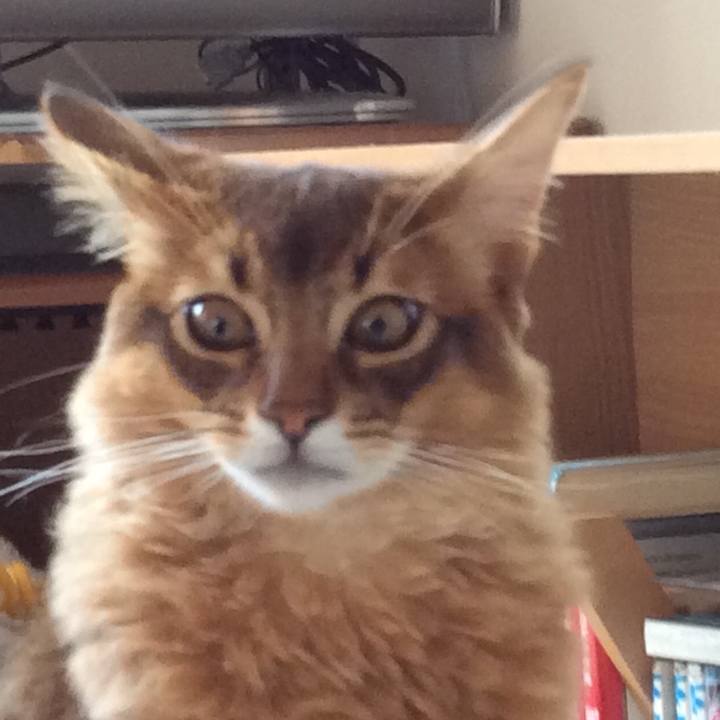 45e113d6 110c 4103 a121 0a30559bb994 1580026717241