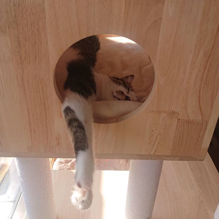 45e12e56 0fcc 48f7 b298 64e9026ba861 1665978024215