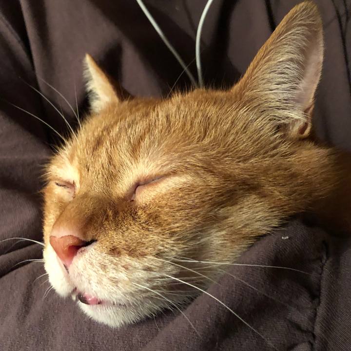 45e13610 63b4 4ddb 93bc e0e7b2902570 1674988379859