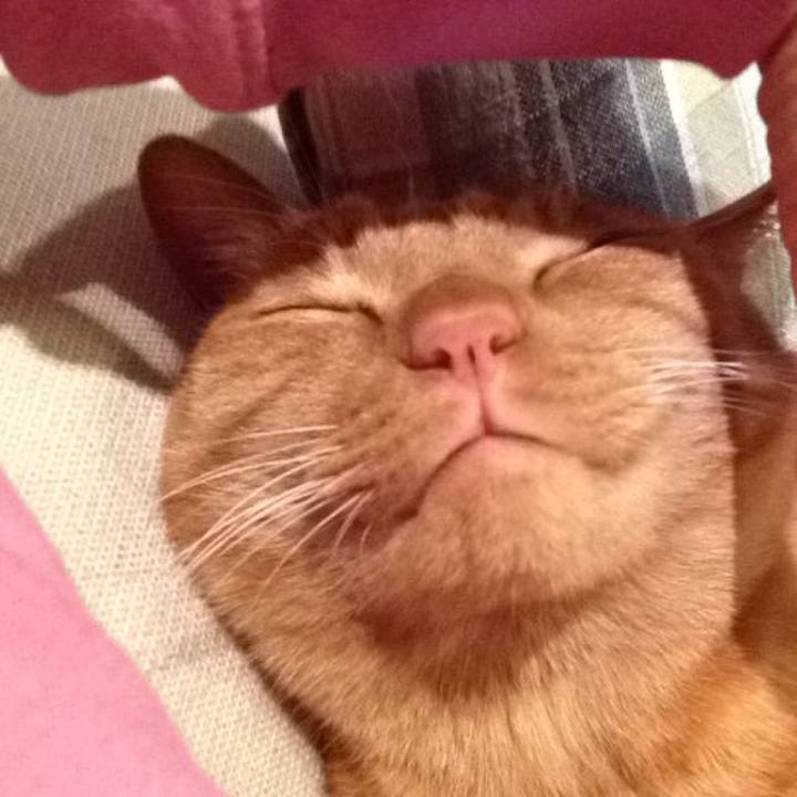 45e14ee7 c83f 48a2 b412 dee594cfe90c 1602230194406