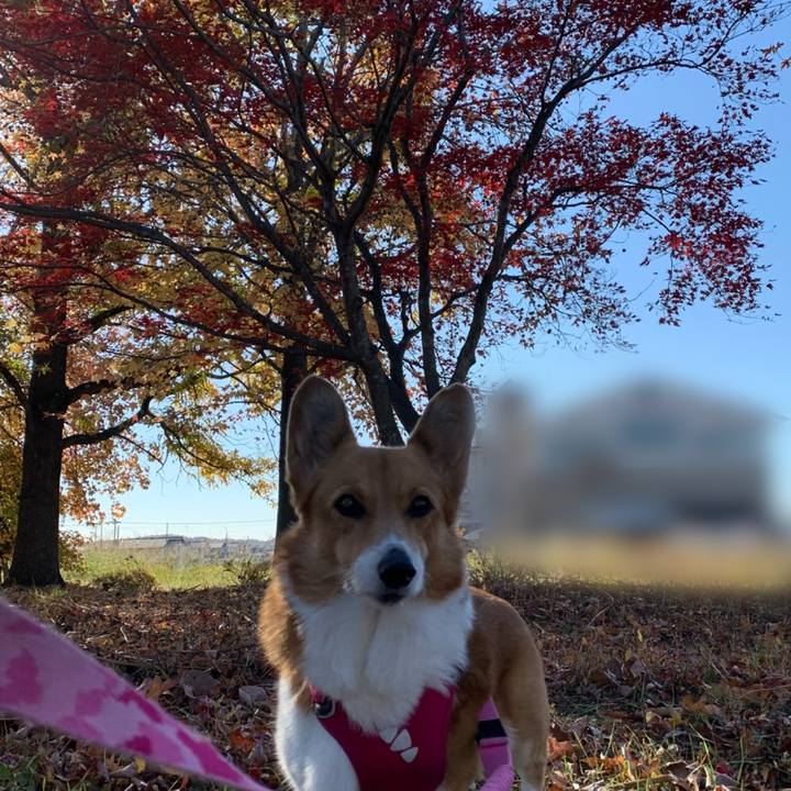 45e16a8d 85b1 4032 86bb b0cae14c81d0 1701224183162