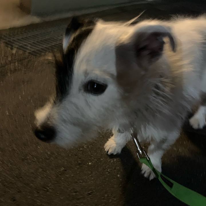 45e17417 16e3 4c69 9877 441eec9b1042 1564405922260