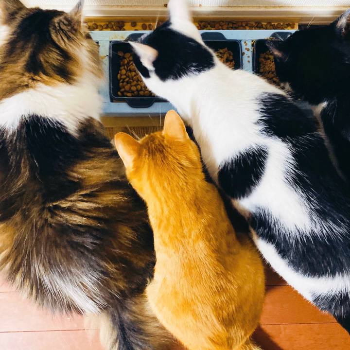 45e18fab 2c26 4134 ab19 fbd41364d894 1593470256263