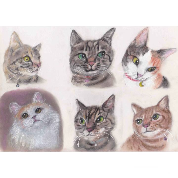 45e19106 69aa 40f9 8a72 f562bc827b7e 1588863919775