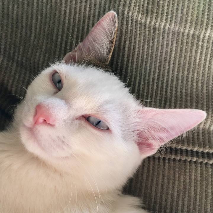 45e1993b 6cfe 4989 8fcd 33a6fbf5c928 1513070911175