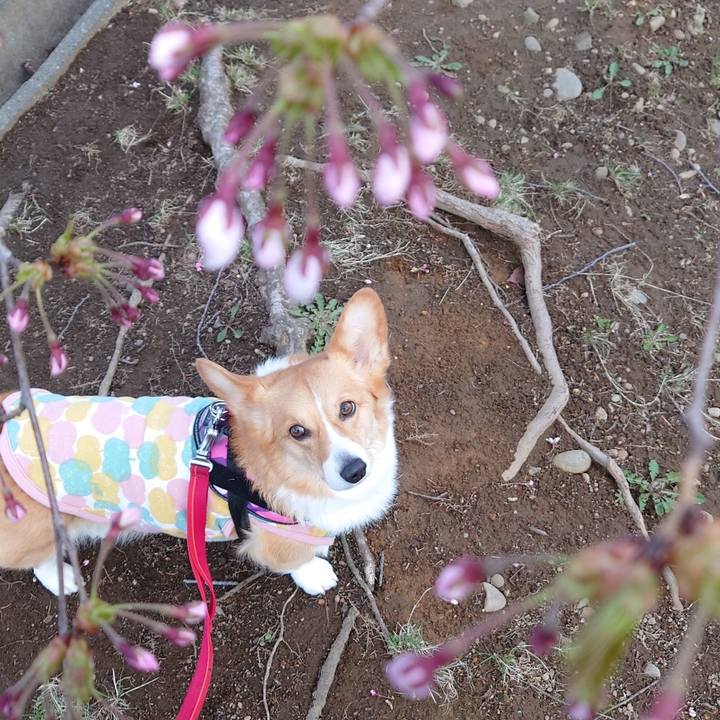 45e1ccba 962e 4606 85c5 fcfda5ac6f79 1776814442229