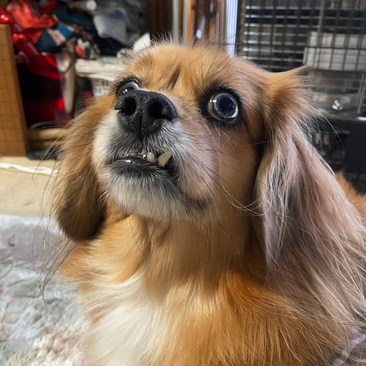 45e21976 408c 48db a8d6 3a4159f99d4f 1669845331355