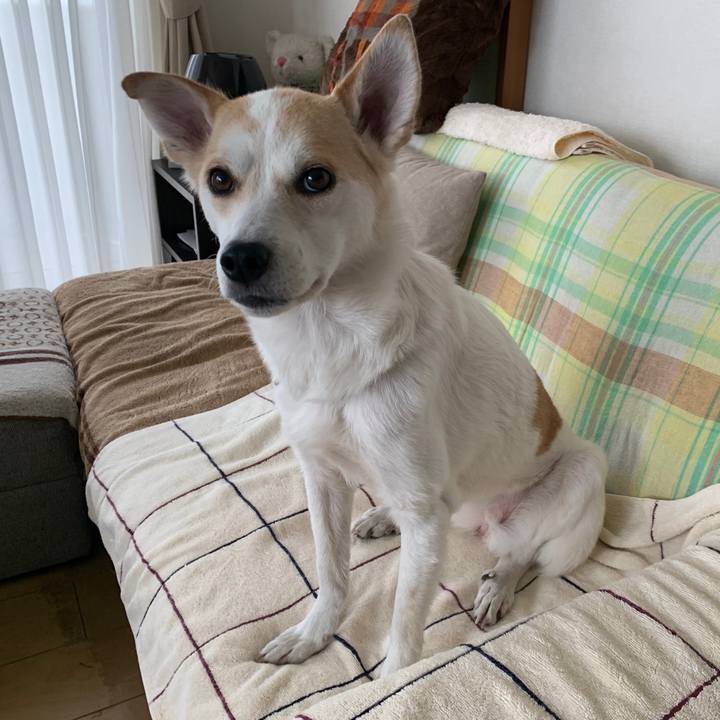 45e24751 3c47 4ac9 a4fb ab40bea16375 1587040137357