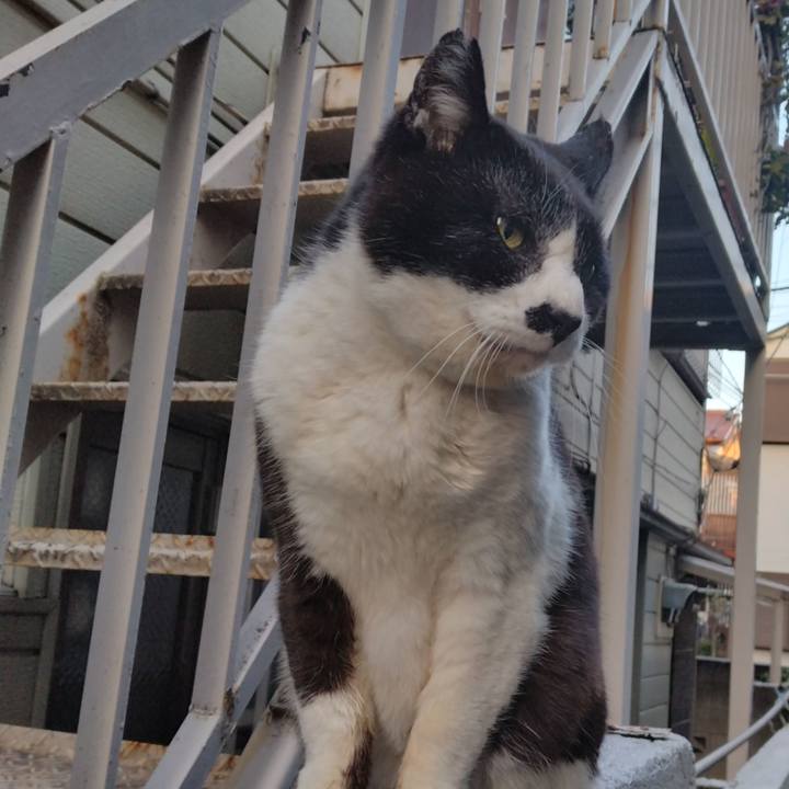 45e2646c e274 4cb2 869d 79d4011e0539 1710405265166