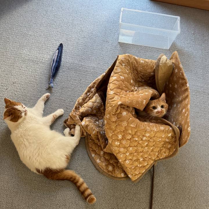 45e270c4 2f2c 4a0c ba59 2e2bfbd25557 1767499856459