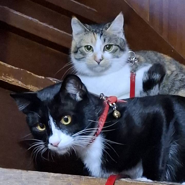 45e28700 3c7f 4de3 9a21 0dc49e39ee89 1767833891831