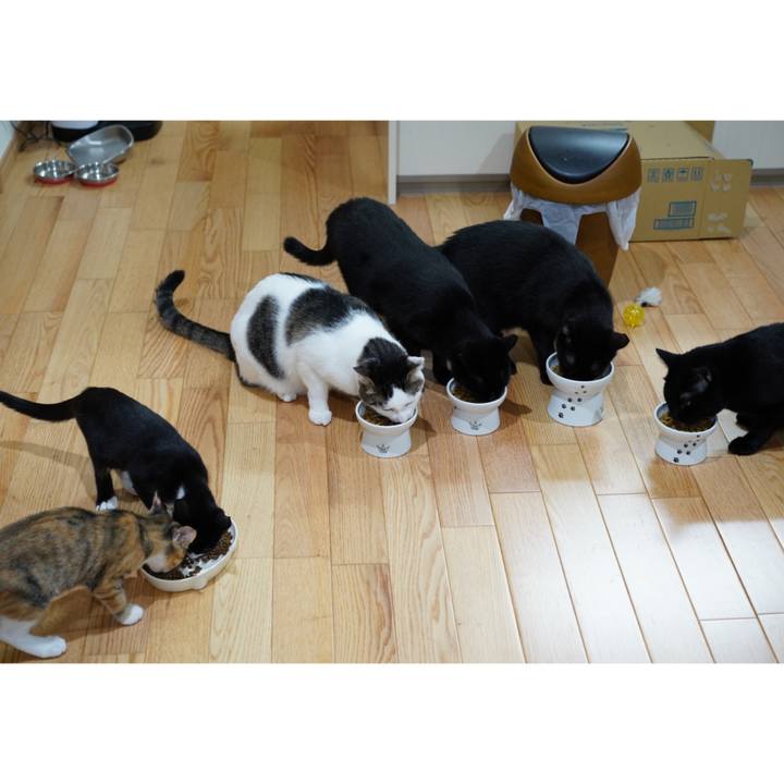 45e30f50 c75c 4886 bcb4 b0fb1da1e937 1570861527739