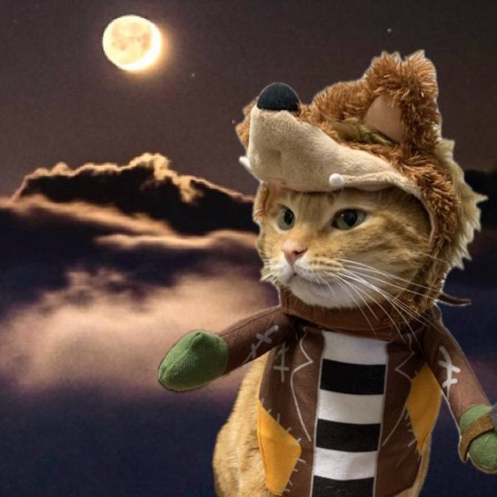 45e32022 94a8 408c bfa8 a100eb5048fa 1726565598480