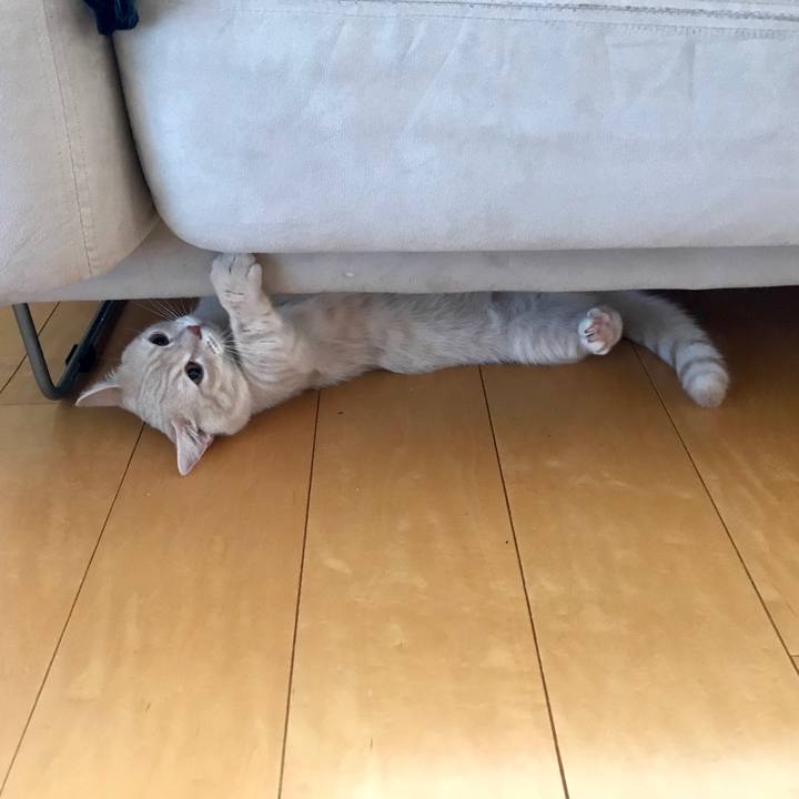 45e345c3 6c49 4dd3 ad66 60b77ff227cb 1530052737152