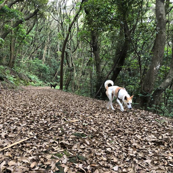 45e378c5 5314 4d2a 970c 20da19ef056d 1590483706685