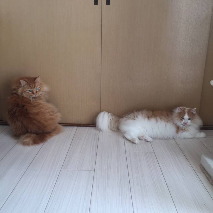 45e39451 5205 445c 9bf2 f53f739df7d8 1537226231885