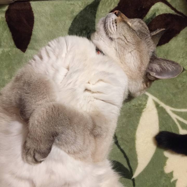 45e39f14 27bb 4223 88cb 92caa03d1322 1581422705369