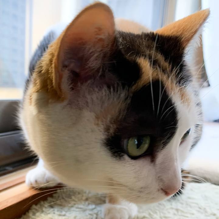 45e3bb36 fc8f 47c4 ae30 fb0644d8e764 1572054721157