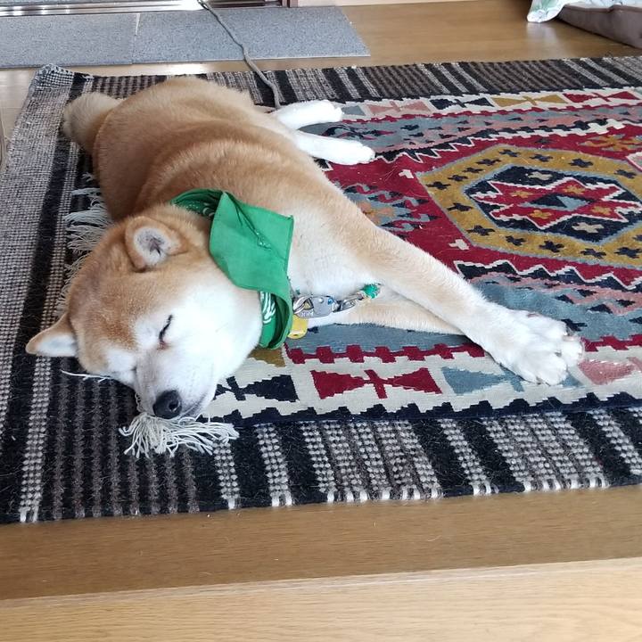 45e3d6c5 34ed 4a74 af58 fda1c9ebfb9c 1558912850288