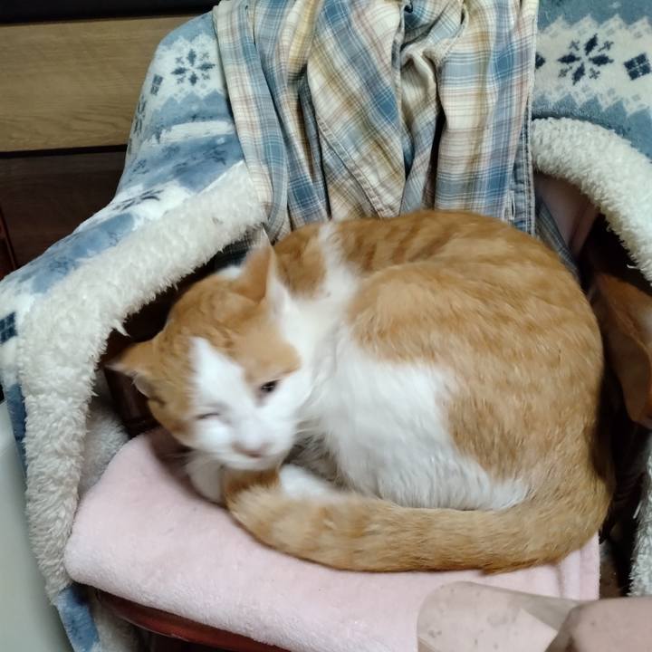 45e41edc 7a4c 4175 bcc3 202fc9299d97 1747303098291