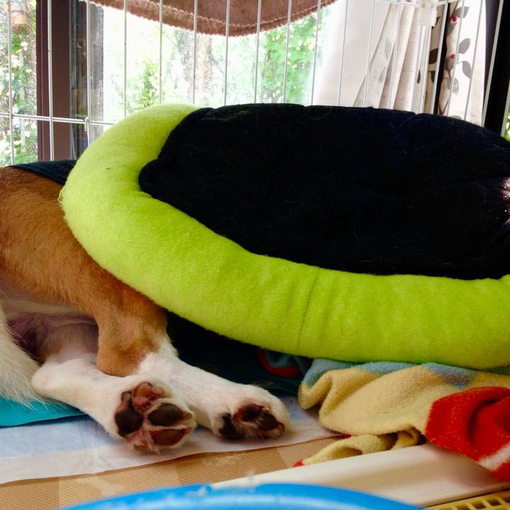 45e43ba1 dab8 4360 b856 28be6ada70f6 1752986989055