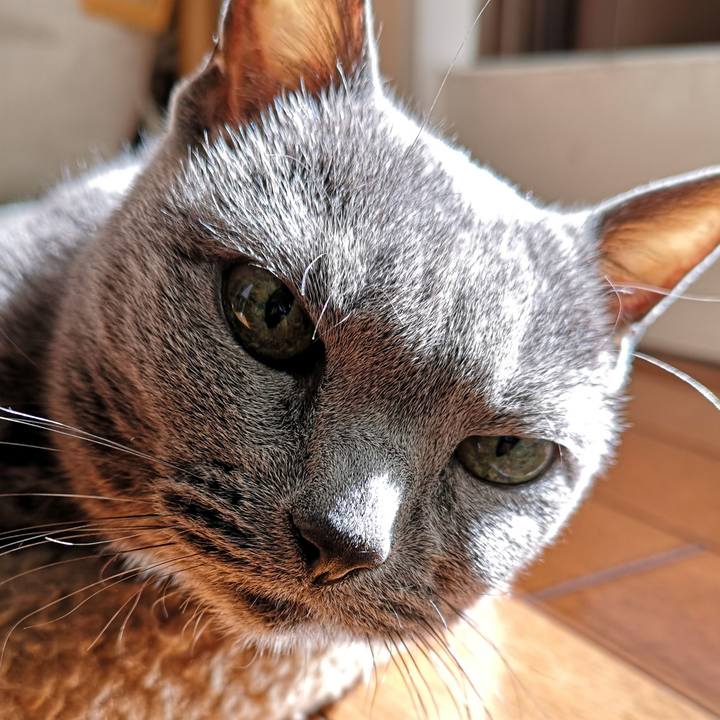 45e477fd 8199 4c75 9880 edfc422aa92d 1640918517161