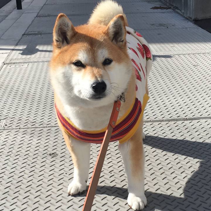 45e480e8 adad 4145 8972 b4deacfda448 1576384376571