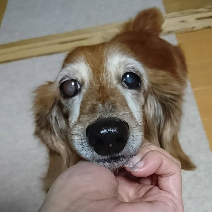 45e48b1c fcdf 4c3a 9955 bfbd66fa275d 1510914022978