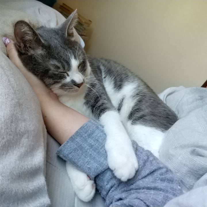 45e4b278 cdd8 448f 8f93 e5b1dc850dad 1647736641960