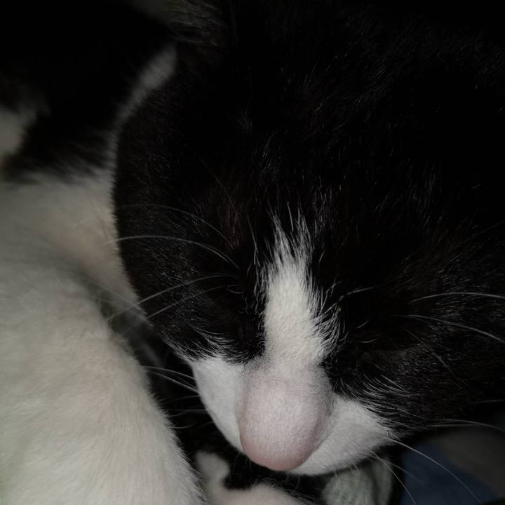 45e4d267 2185 4ac2 93a5 3911c0a5d5c2 1622606752555