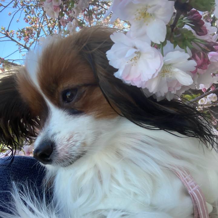 45e4d8b9 5a3e 46b2 910c a157715ec4ef 1650698523975