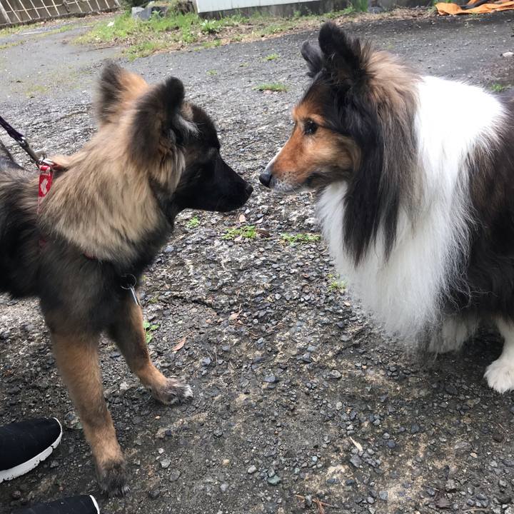 45e4e2b5 e5a2 4bb6 a3cc 34fc63fca9e1 1556631830398