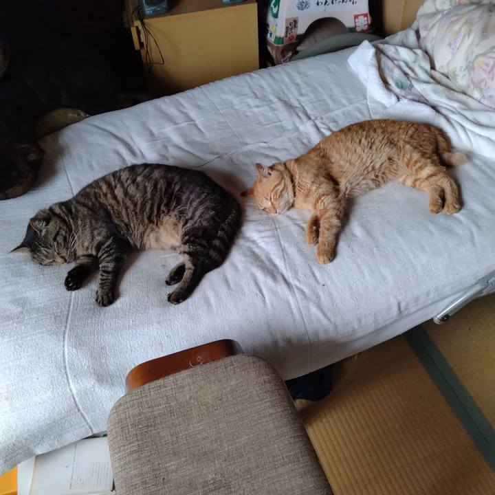 45e4eed4 5bd5 4bbd 963f de4ac82cf0f6 1688191530113