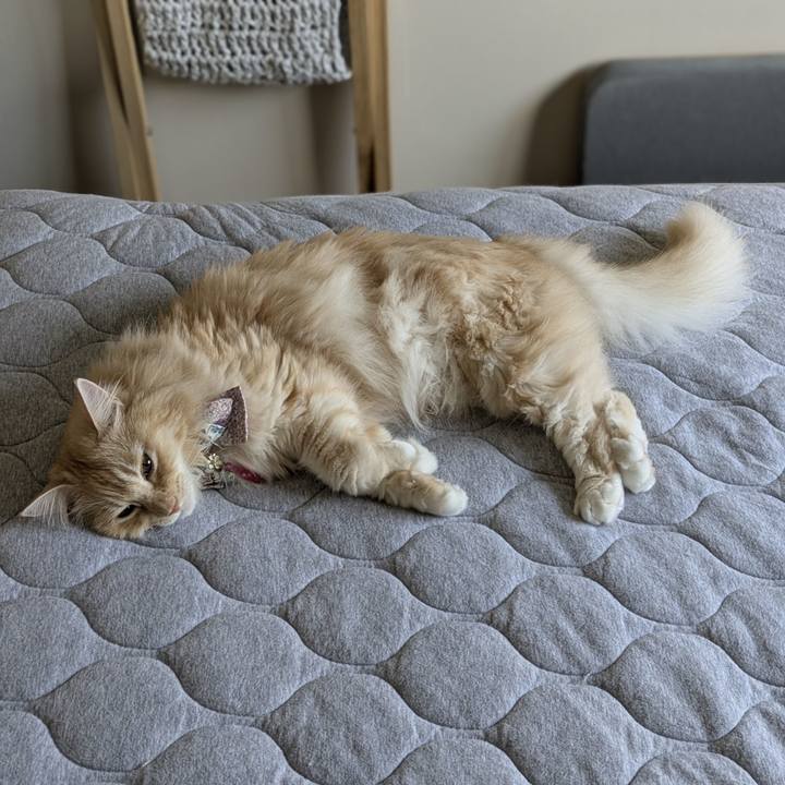 45e5119f 5278 4748 a95d 9d5285fe1b87 1758018609861