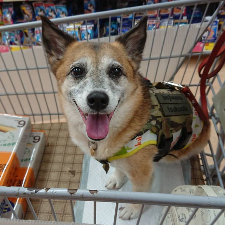 45e543af 70fb 4349 b996 85f5cbf3092b 1560005680290