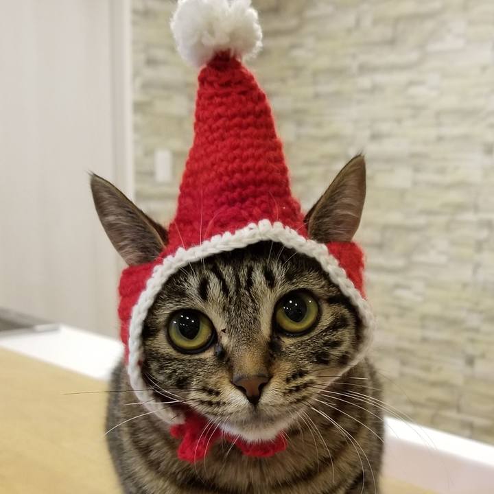 45e551c4 56dd 49e4 bb71 c272d31c4a3e 1556014144815