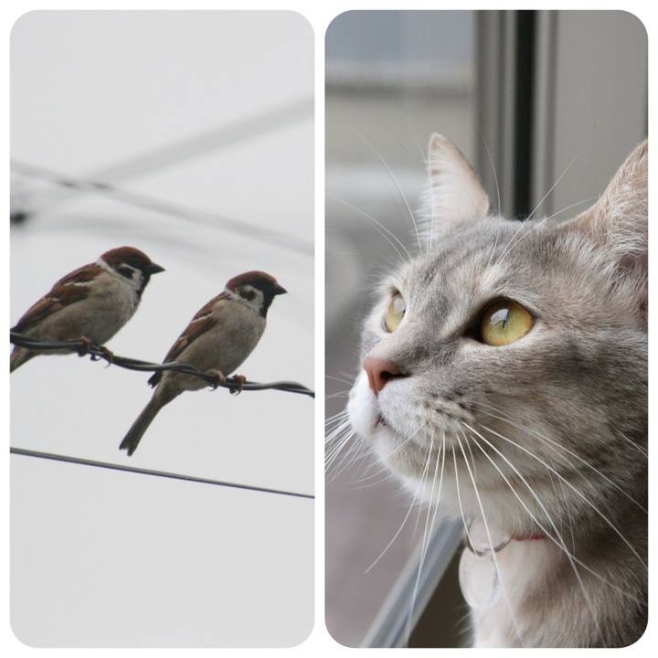 45e5760a 1fdd 4b68 934f 753dddb40304 1522932643758