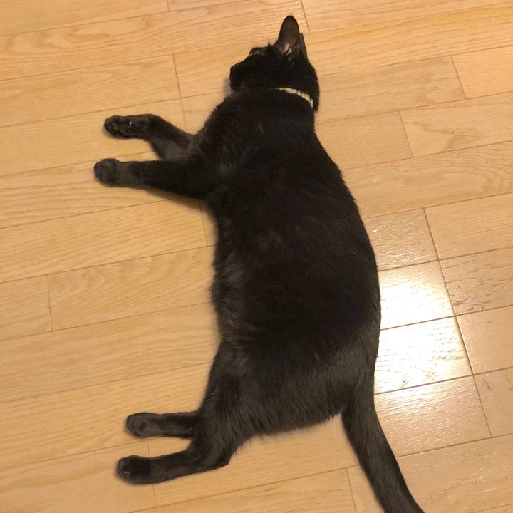 45e59ff5 b3e6 448d 9f09 f6922b37ba75 1526992929832