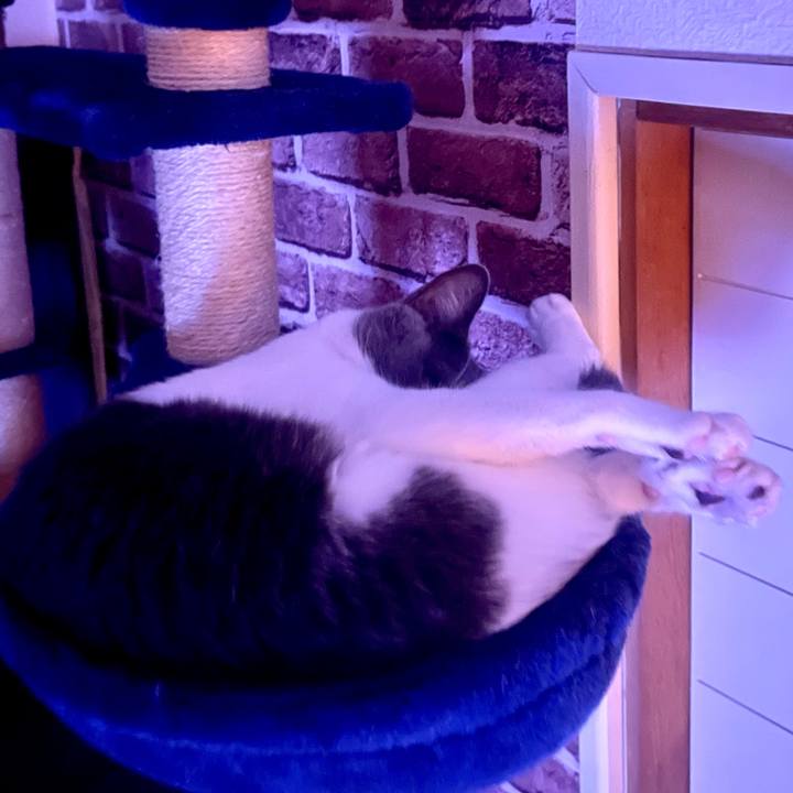 45e5cade 9f3a 49f8 91c5 a83cab1d9a24 1636037660705