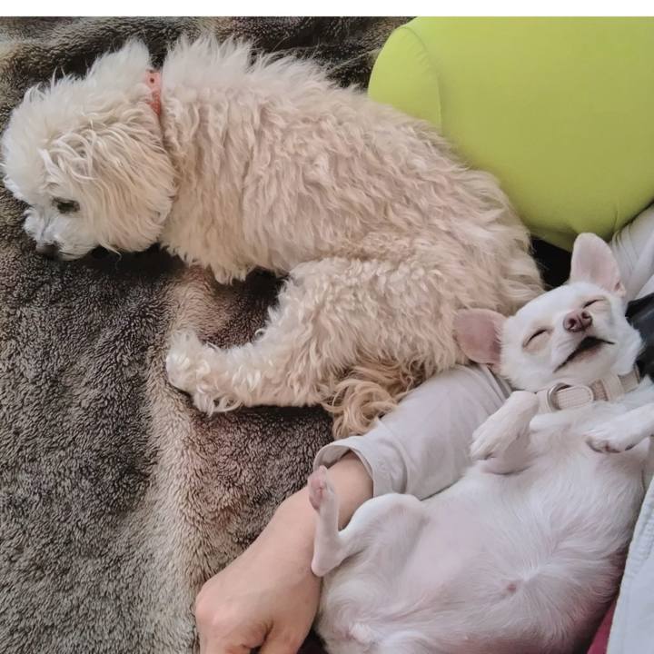 45e5da95 8187 4b5d 966e 20e3547a58a0 1716015490694