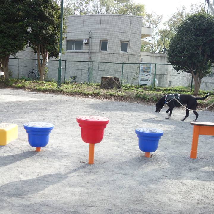 45e5dfcb 1920 437b 803f 3a4d05386410 1649637225178