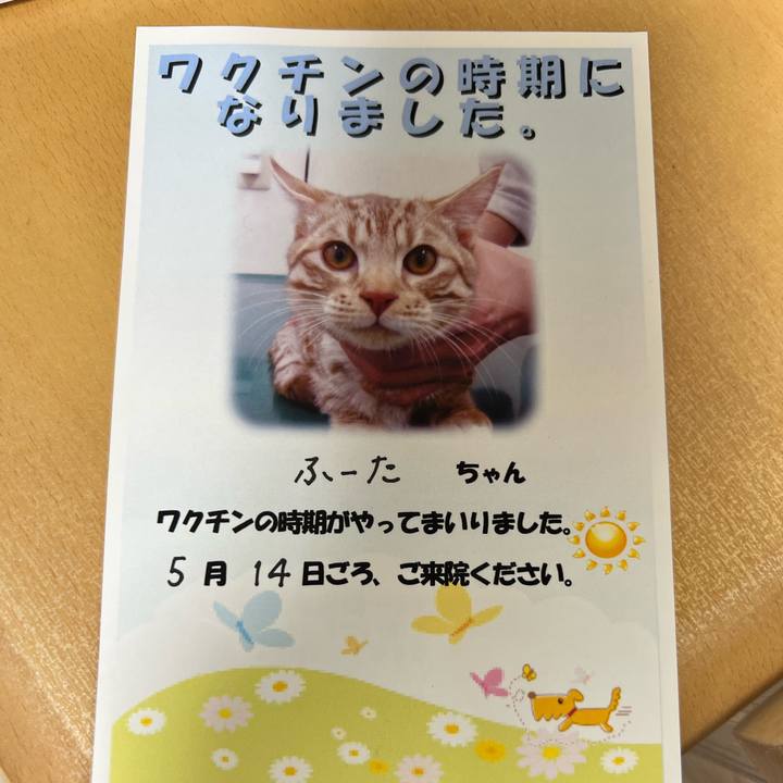 45e5ea0e 2d59 4f02 a289 ed94bd935c84 1681816539814